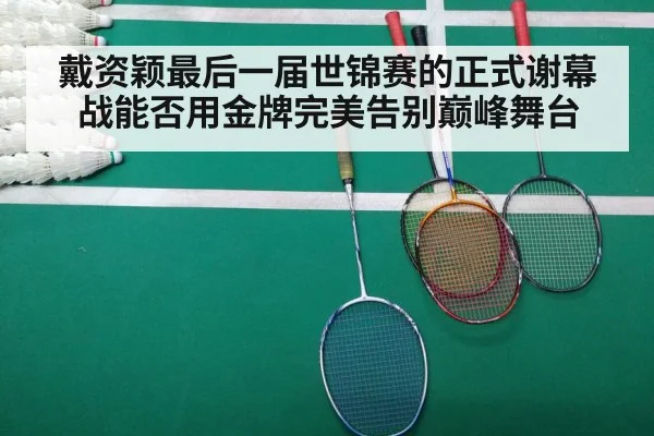 badminton final match